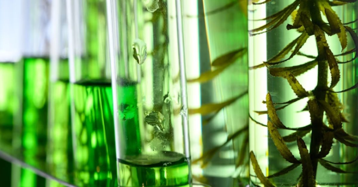 Cogent Biosciences Bets Big on Precision Therapies Amid Biotech Boom