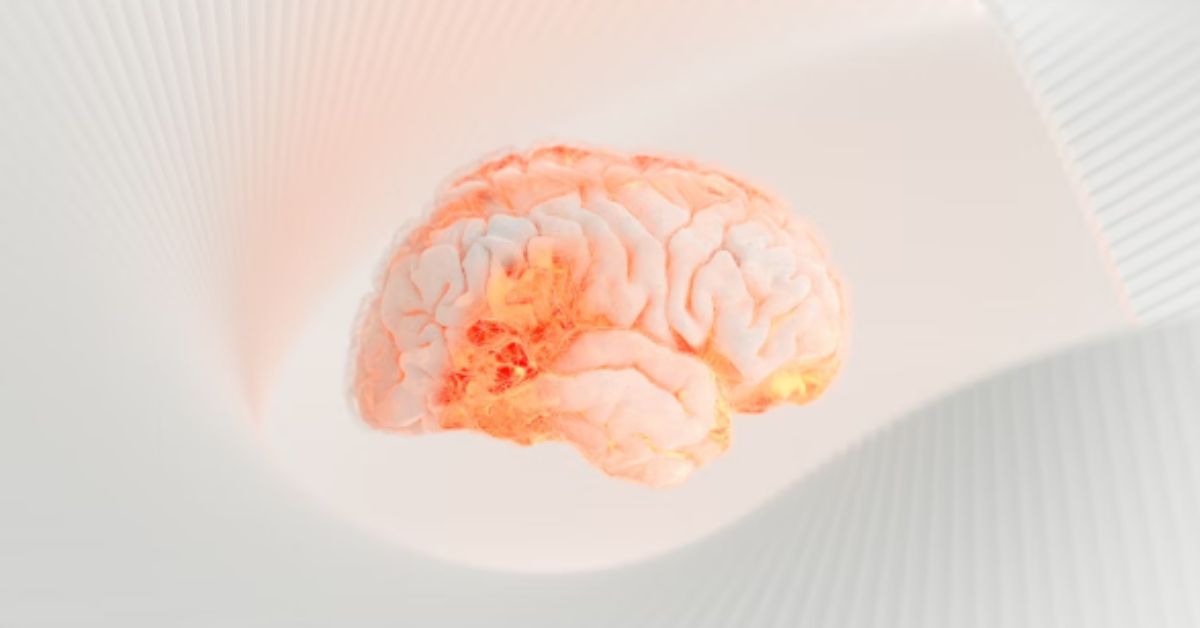 Altman Takes the Helm of Brain-Computer Rival