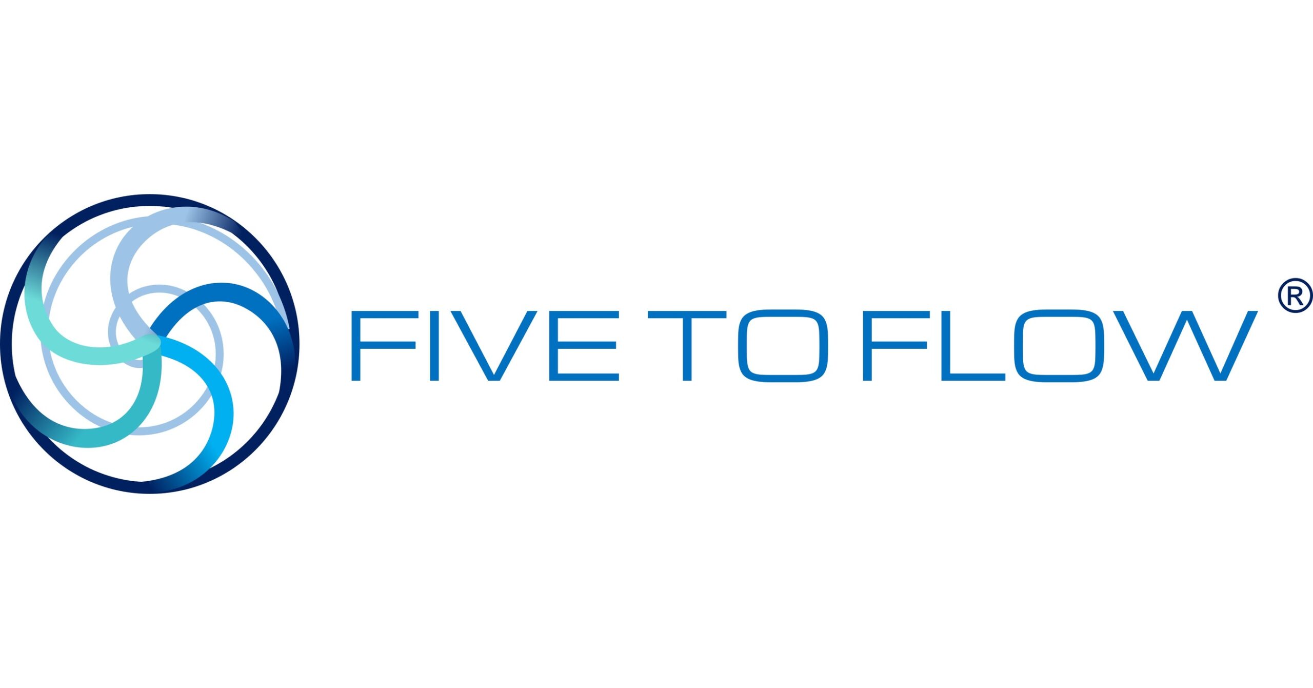 Five to Flow - Logo
