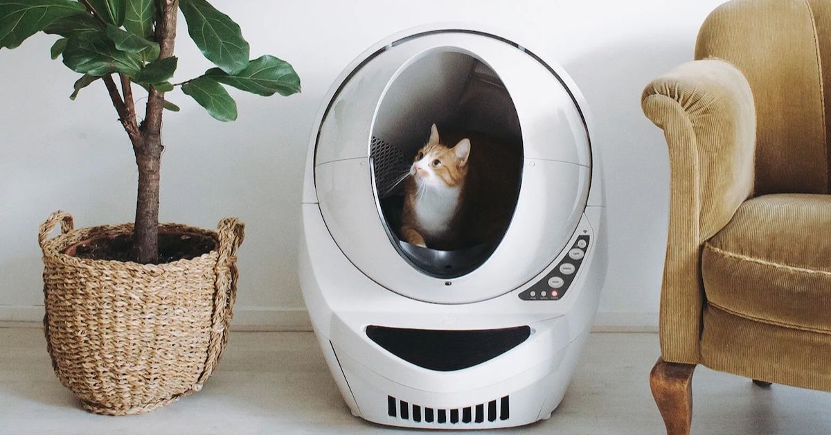 Litter-Robot CMO