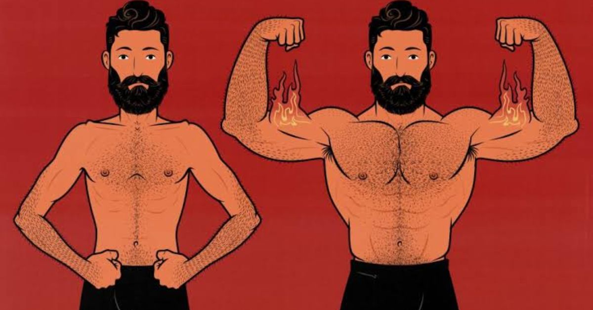 Want to Build Muscle